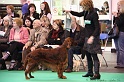 Crufts2011 505